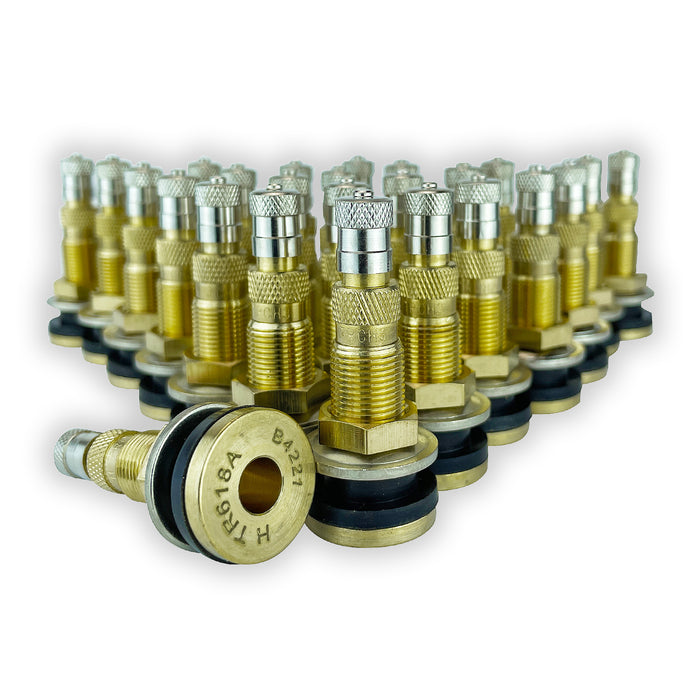 Haltec TR500 TV-500A Tubeless Truck Tire Valve Stems – 10 Pack, Standard Brass
